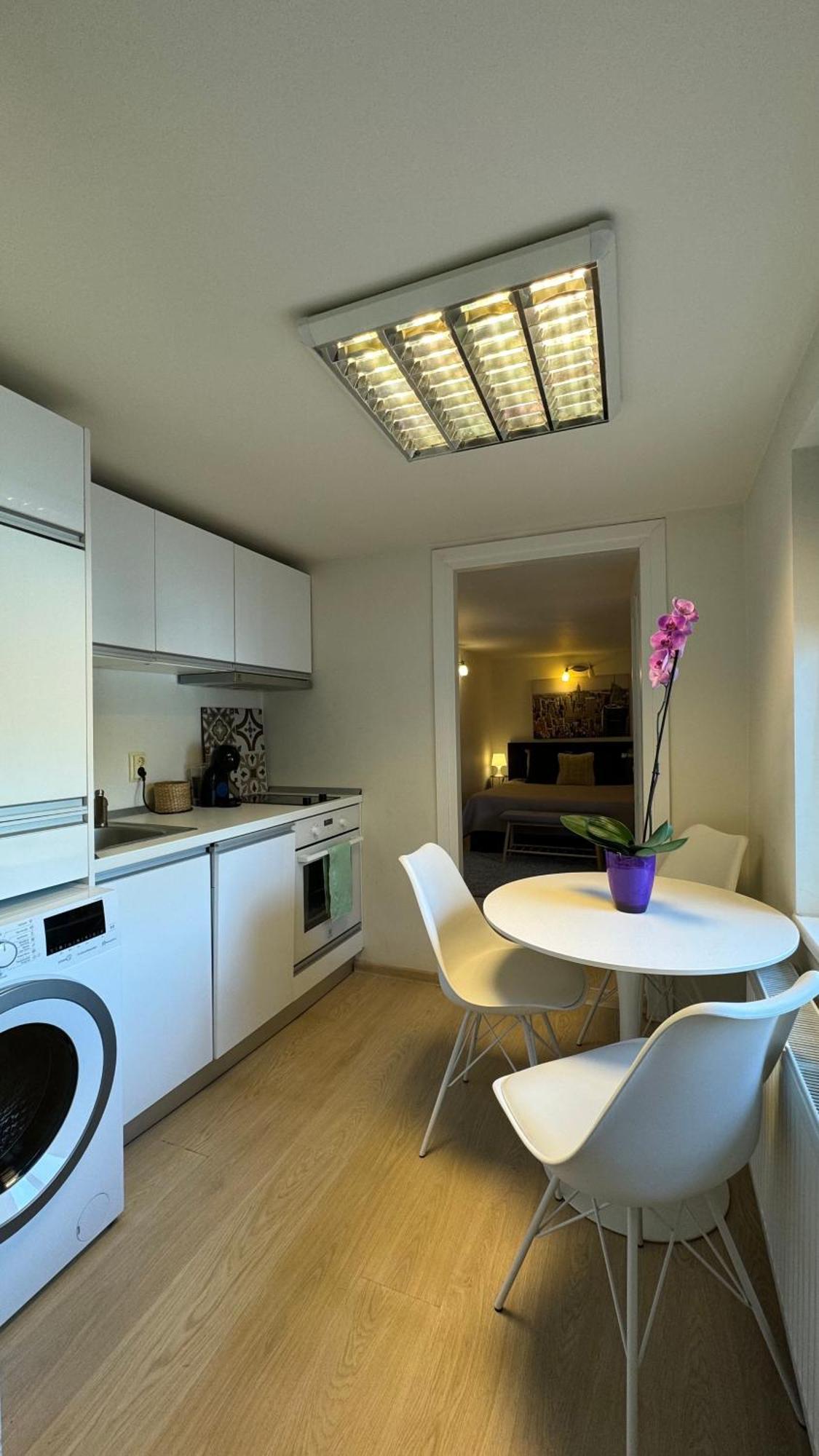 Elite Residence Тимишоара Екстериор снимка